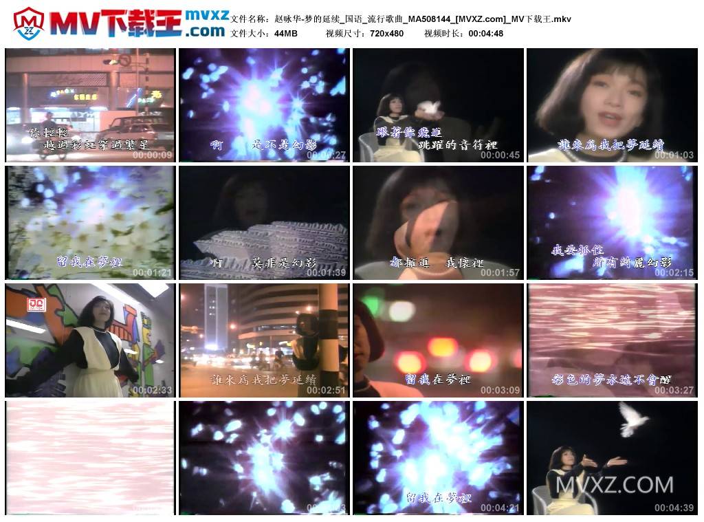 赵咏华-梦的延续_国语_流行歌曲_MA508144